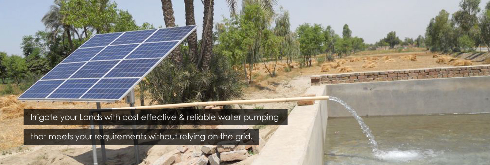 Diamond Green Energy Corporation